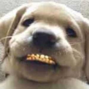 Meet your Posher, Melvin